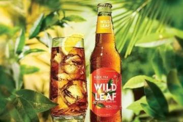 波士顿啤酒推出野生茶叶精制酒精茶饮Wild Leaf Craft Hard Tea